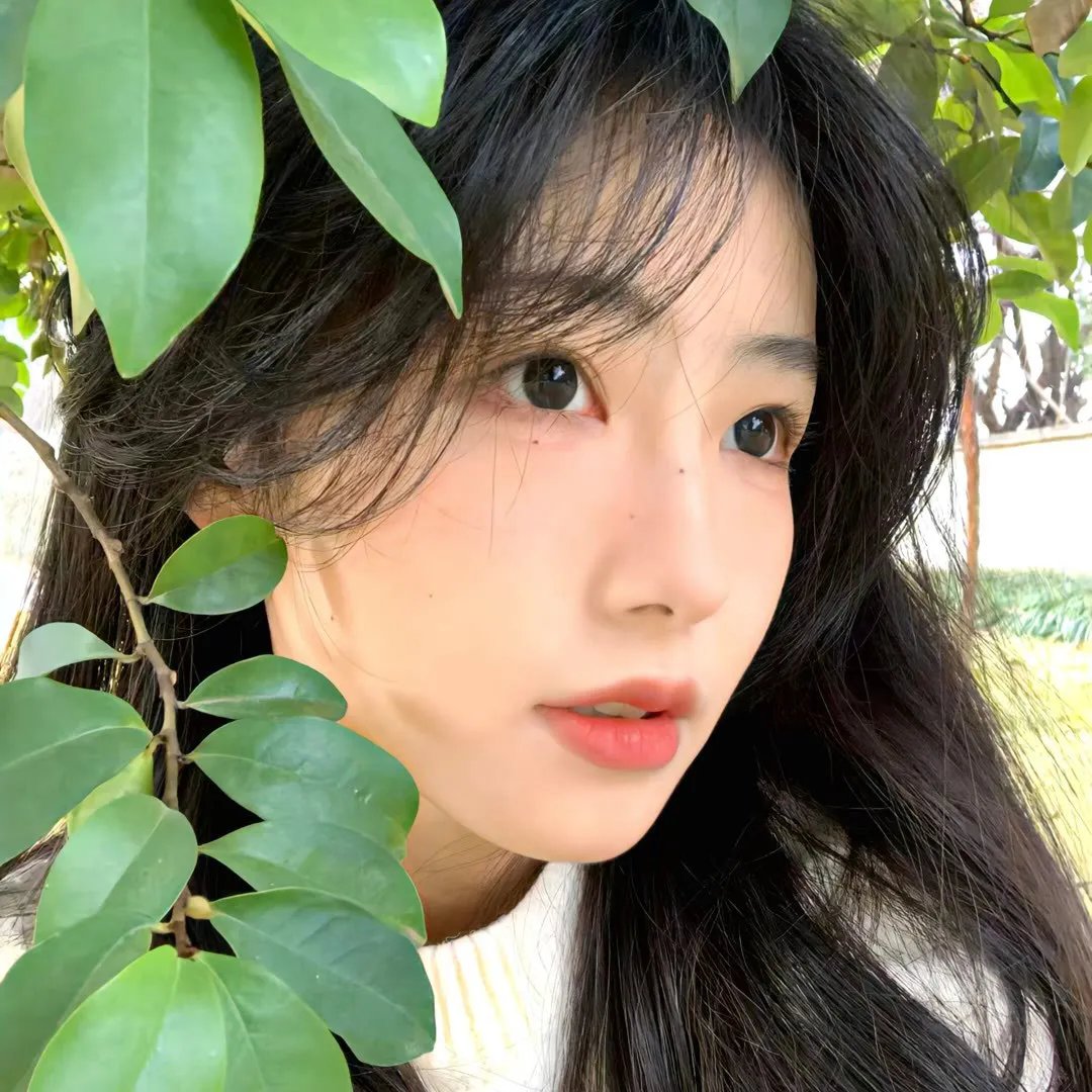 首尔假期