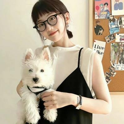 王牌特派员